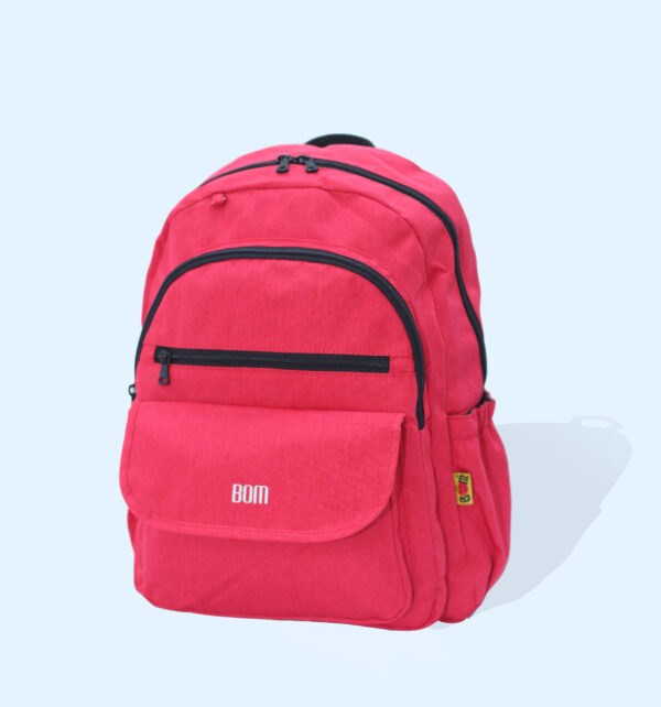 BL D19 (S) - Hình ảnh 8